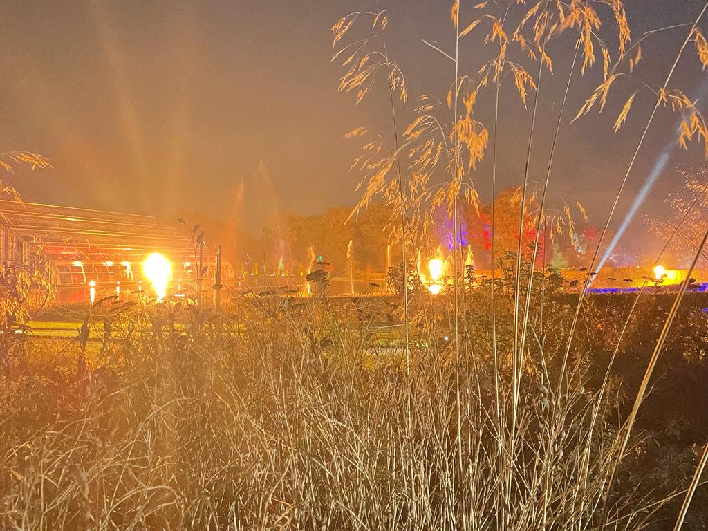 colourful fairy lights at the Christmas glow walk at RHS Garden Wisley 