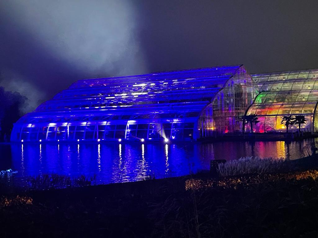 colourful fairy lights at the Christmas glow walk at RHS Garden Wisley 