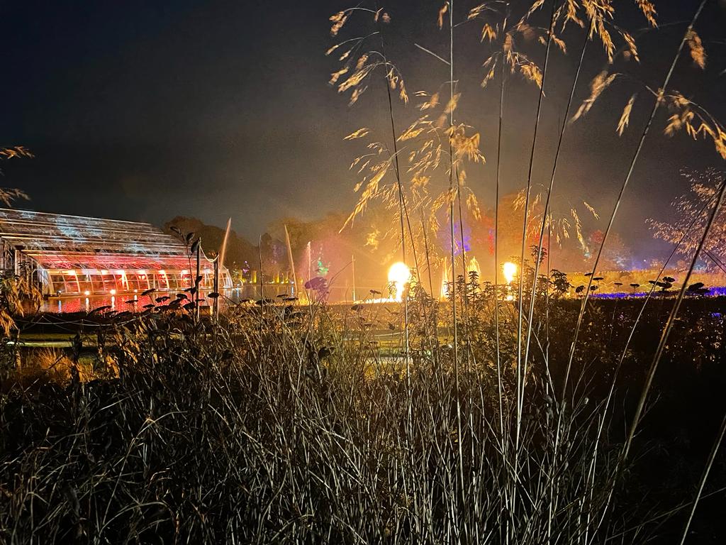 colourful fairy lights at the Christmas glow walk at RHS Garden Wisley 