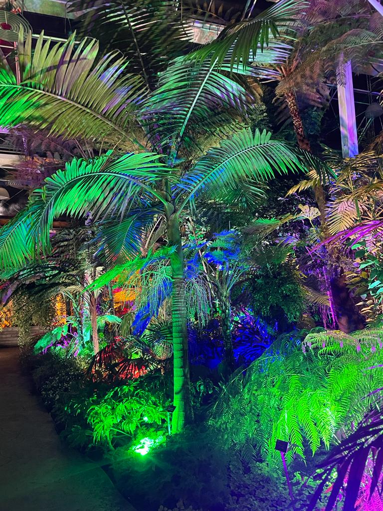 colourful fairy lights at the Christmas glow walk at RHS Garden Wisley 