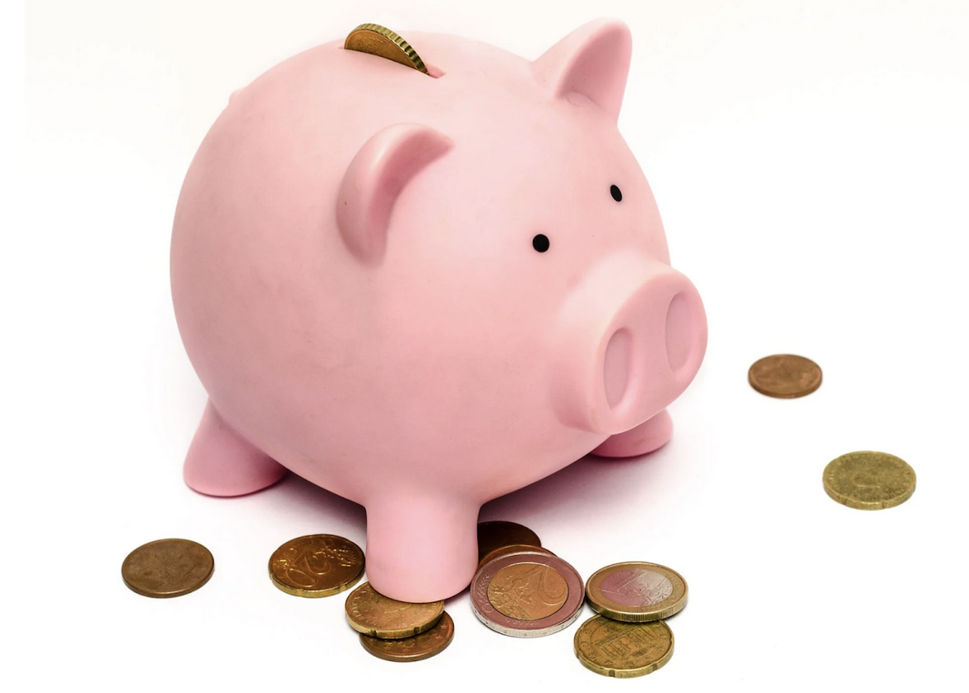 piggy bank 