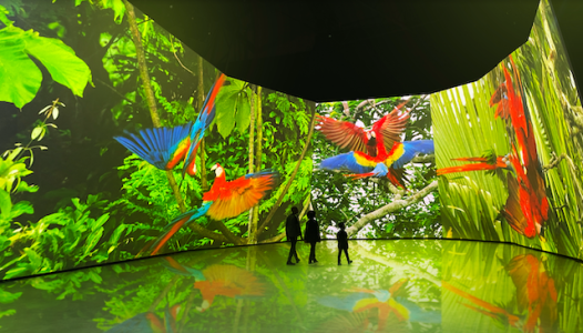 BBC earth experience room