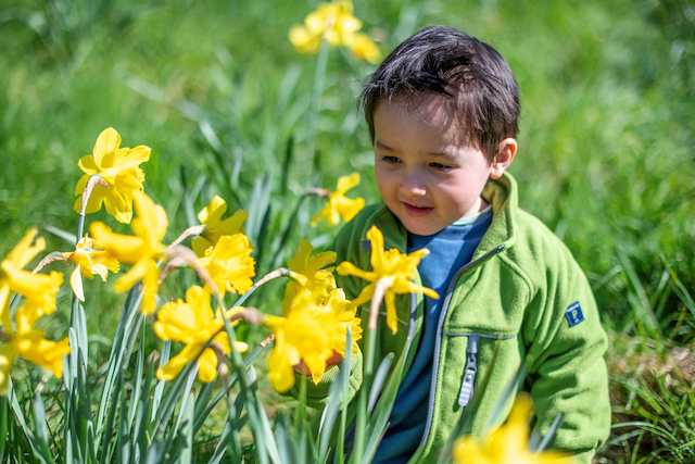 Easter Fun Spring at Kew Gardens 
