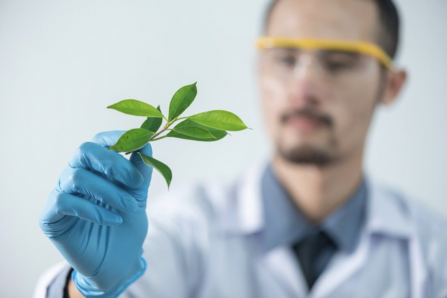 doctor holding leaves