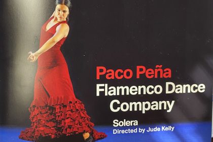 solera show woman dancing flamenco for the brochure