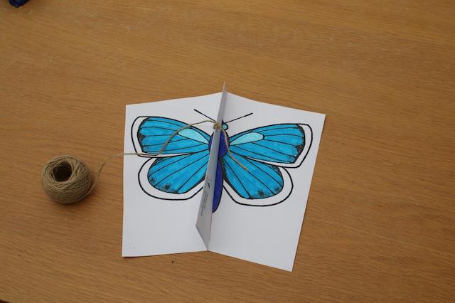 Butterfly kite