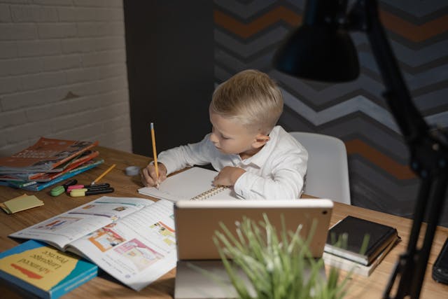 young child studying at desk 