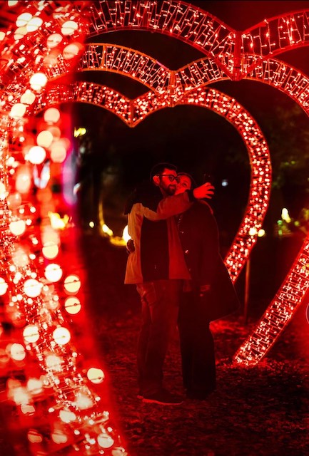 The Fulham Palace Festive Light Display