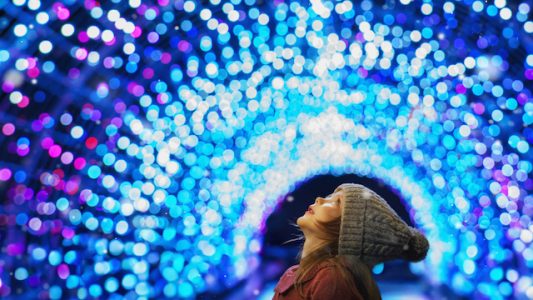 The Fulham Palace Festive Light Display