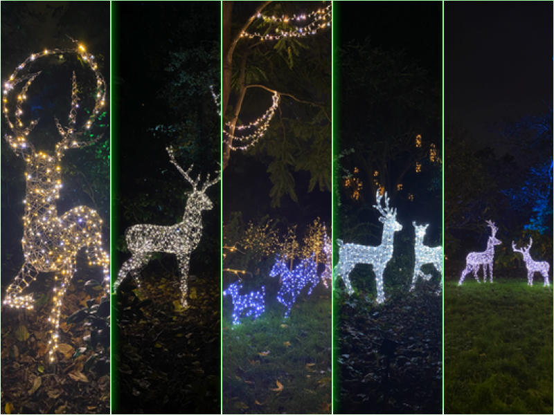 christmas at kew