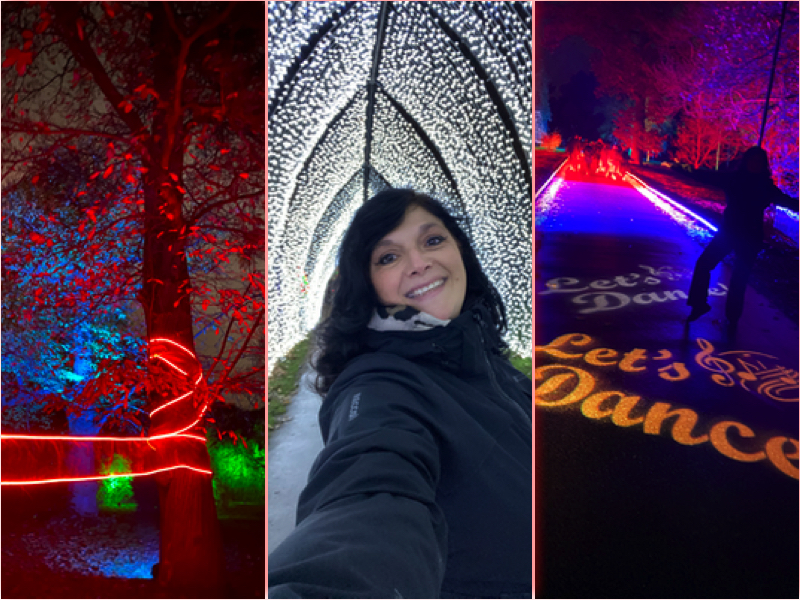 christmas at kew