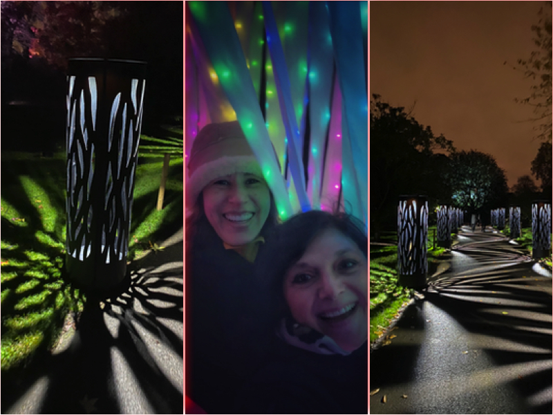 christmas at kew